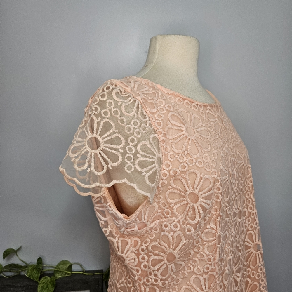 Lace Dress Size 14 New - Picture 5 of 16